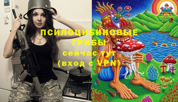 кокс Алексеевка